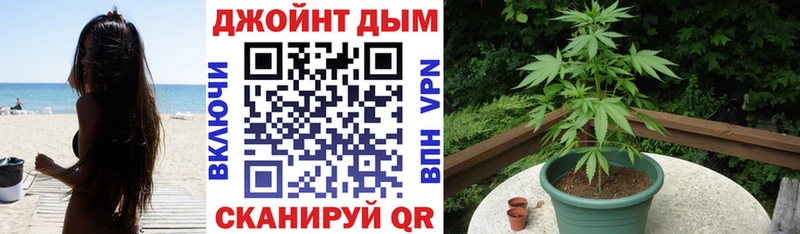 продажа наркотиков  Бокситогорск  Марихуана сатива 